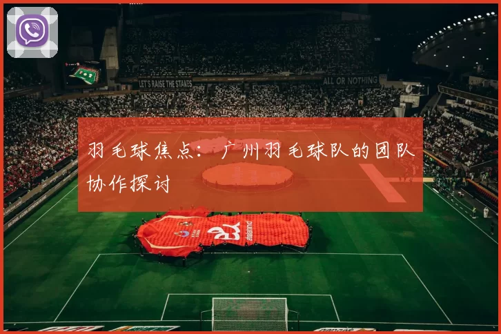 羽毛球焦点：广州羽毛球队的团队协作探讨