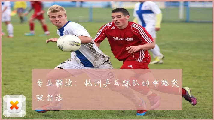 专业解读：杭州乒乓球队的中路突破打法