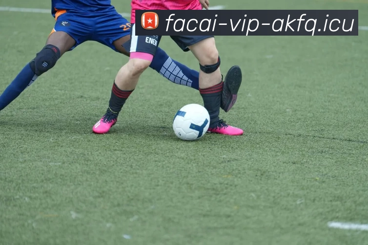 乐竞体育APP 封面图