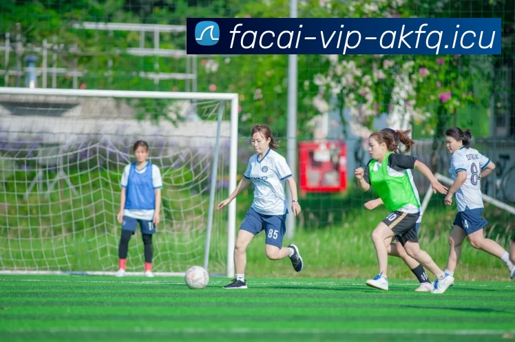 数据防护可视化